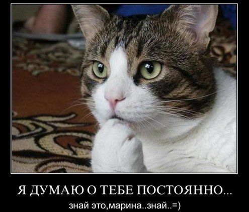 Грустные демотиваторы Грустные демотиваторы