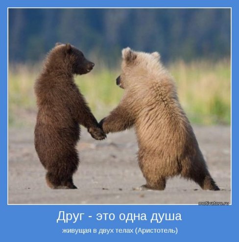 мотиваторы грустные мотиваторы грустные