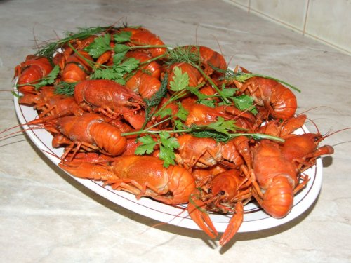 Пятничный натюрморт - пиво с раками! Пятничный натюрморт - пиво с раками!