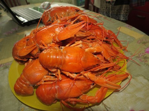 Пятничный натюрморт - пиво с раками! Пятничный натюрморт - пиво с раками!