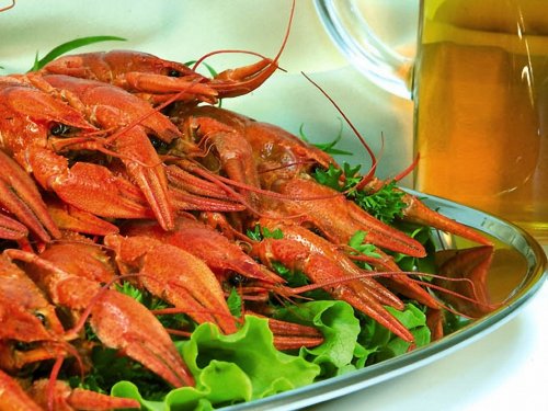 Пятничный натюрморт - пиво с раками! Пятничный натюрморт - пиво с раками!