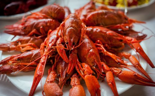 Пятничный натюрморт - пиво с раками! Пятничный натюрморт - пиво с раками!