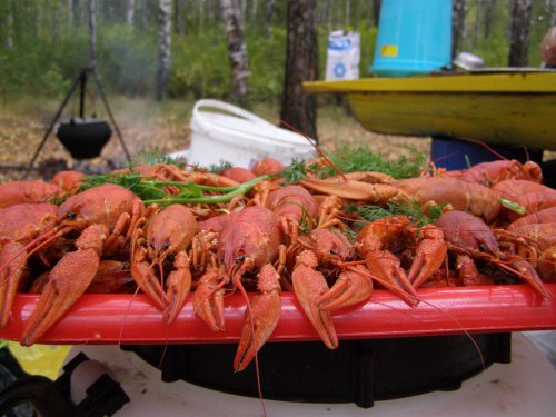 Пятничный натюрморт - пиво с раками! Пятничный натюрморт - пиво с раками!