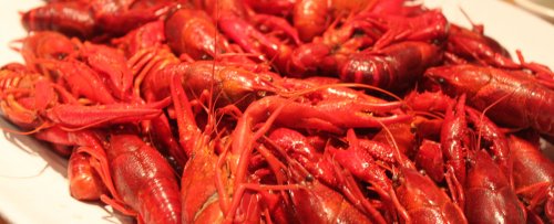 Пятничный натюрморт - пиво с раками! Пятничный натюрморт - пиво с раками!