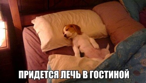 Сфотографировал, разложил обратно по местам. Сфотографировал, разложил обратно по местам.