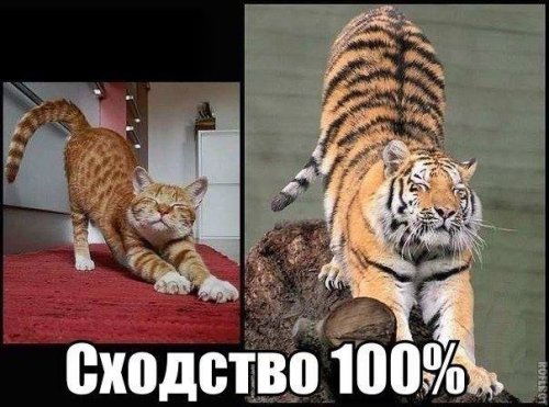 Сфотографировал, разложил обратно по местам. Сфотографировал, разложил обратно по местам.