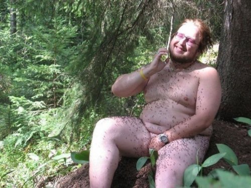 Сфотографировал, разложил обратно по местам. Сфотографировал, разложил обратно по местам.