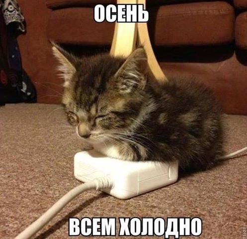 Что бы понять женщину нужно думать как туфли Что бы понять женщину нужно думать как туфли