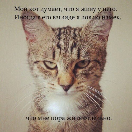 Что бы понять женщину нужно думать как туфли Что бы понять женщину нужно думать как туфли