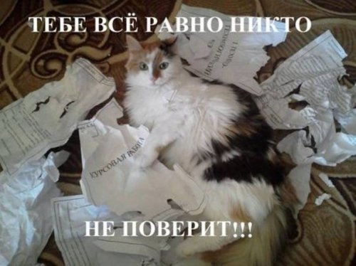 Что бы понять женщину нужно думать как туфли Что бы понять женщину нужно думать как туфли