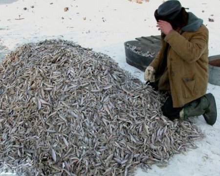 Приколы про рыбалку Приколы про рыбалку