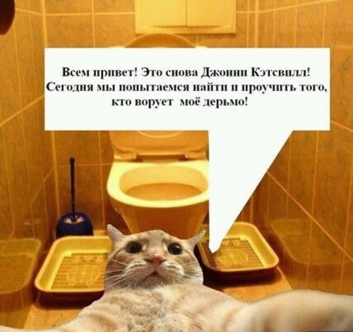 Джонни Кэтсвилл Джонни Кэтсвилл