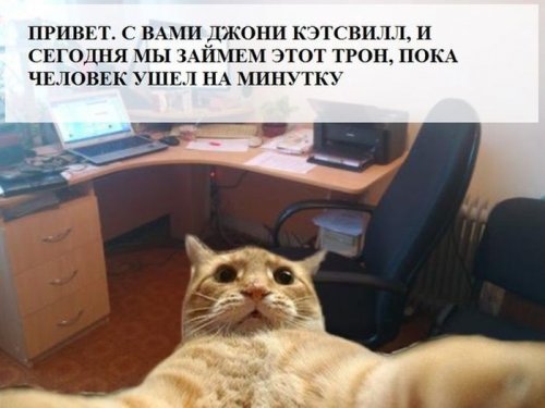 Джонни Кэтсвилл Джонни Кэтсвилл