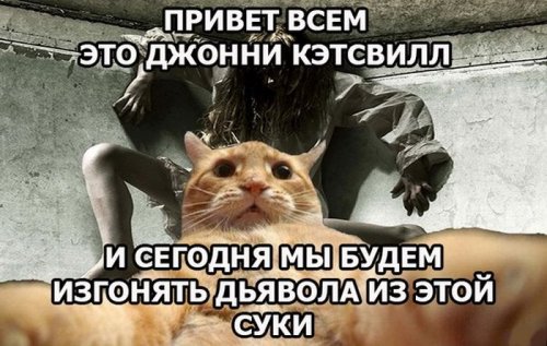 Джонни Кэтсвилл Джонни Кэтсвилл