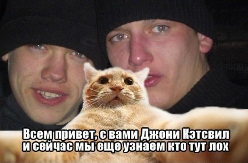 Джонни Кэтсвилл Джонни Кэтсвилл