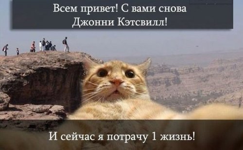 Джонни Кэтсвилл Джонни Кэтсвилл
