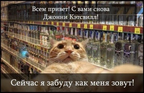 Джонни Кэтсвилл Джонни Кэтсвилл