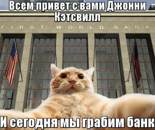 Джонни Кэтсвилл Джонни Кэтсвилл