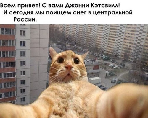 Джонни Кэтсвилл Джонни Кэтсвилл