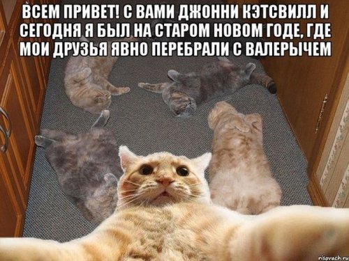 Джонни Кэтсвилл Джонни Кэтсвилл