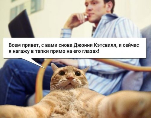 Джонни Кэтсвилл Джонни Кэтсвилл