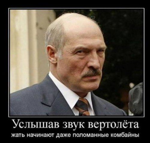 Демотиваторы про Лукашенко Демотиваторы про Лукашенко