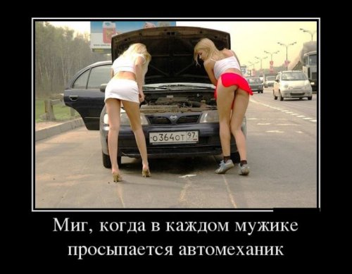 Демотиваторы злобные Демотиваторы злобные