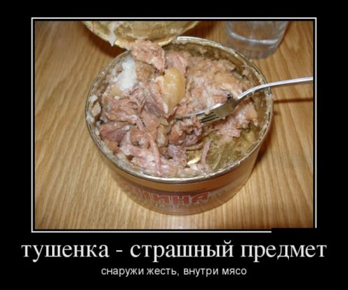 Демотиваторы загоны Демотиваторы загоны