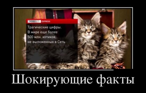Демотиваторы загоны Демотиваторы загоны