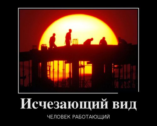 Демотиваторы загоны Демотиваторы загоны