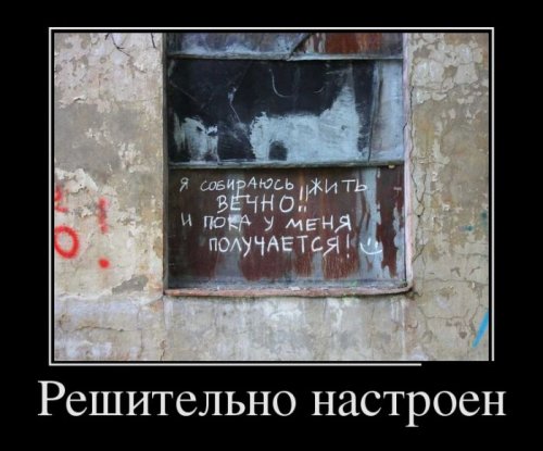 Демотиваторы загоны Демотиваторы загоны