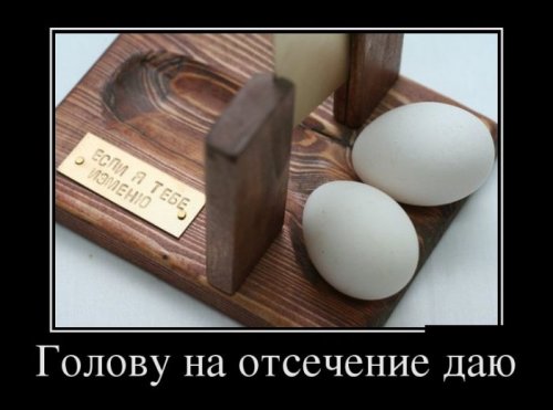 Демотиваторы загоны Демотиваторы загоны