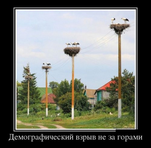 Демотиваторы загоны Демотиваторы загоны