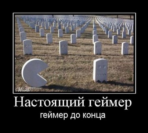 Демотиваторы загоны Демотиваторы загоны