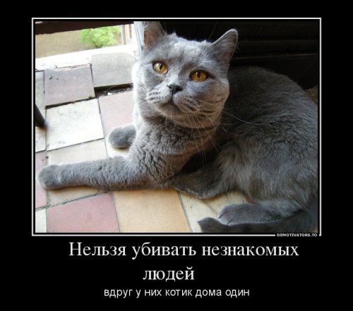 Политические демотиваторы Политические демотиваторы