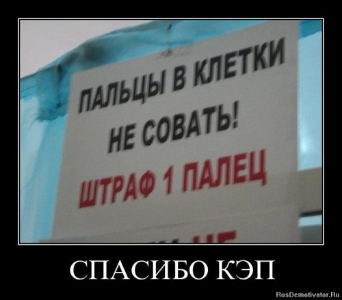 Демотиваторы капитан очевидность Демотиваторы капитан очевидность
