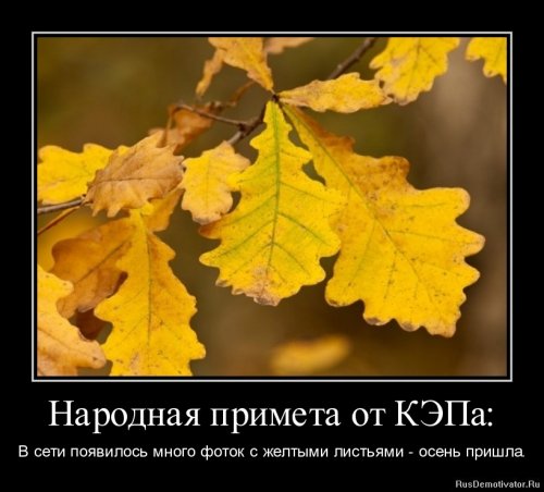 Демотиваторы капитан очевидность Демотиваторы капитан очевидность