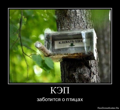 Демотиваторы капитан очевидность Демотиваторы капитан очевидность